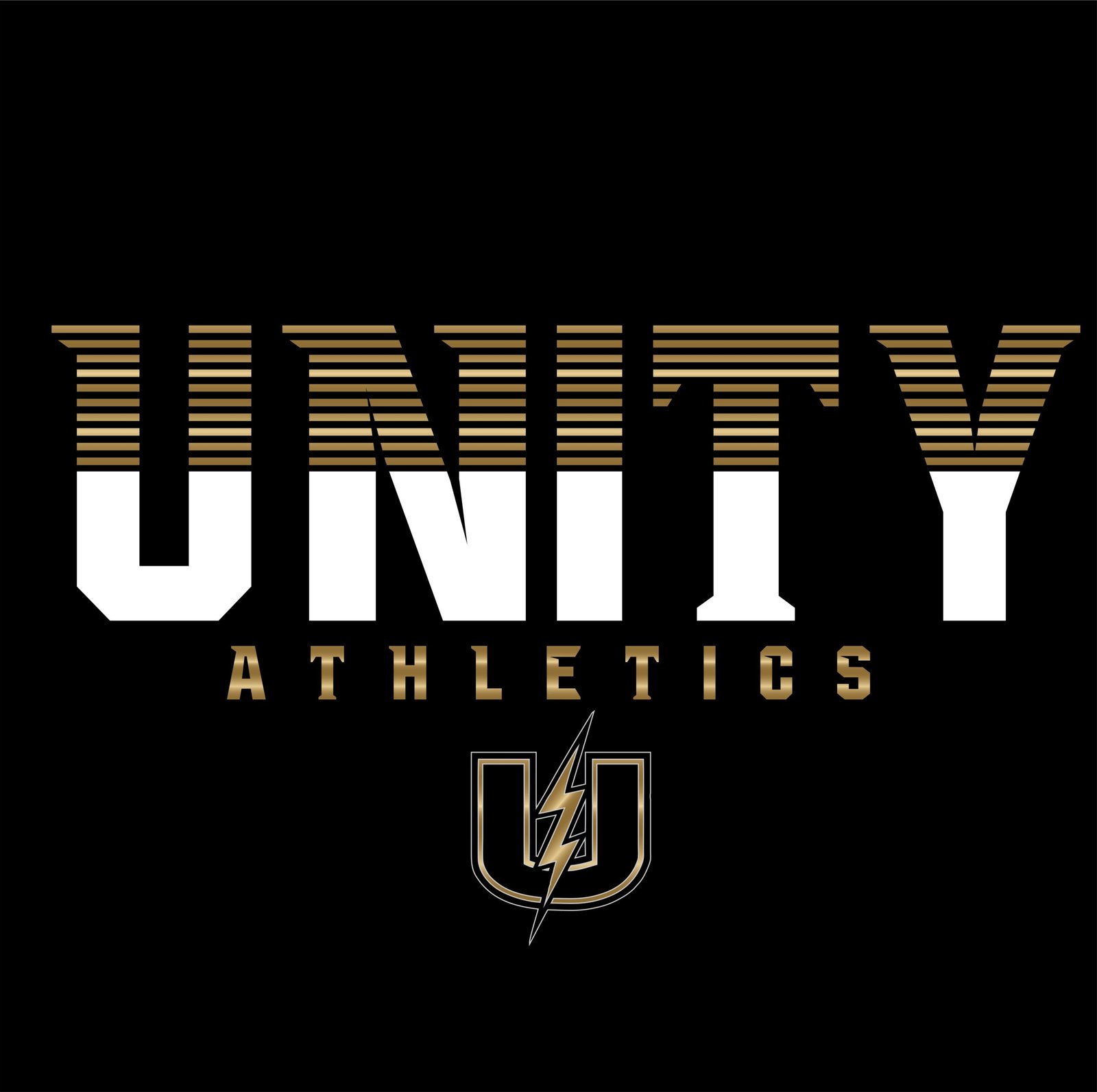 Unity Gridline Tee_Black - Image 2